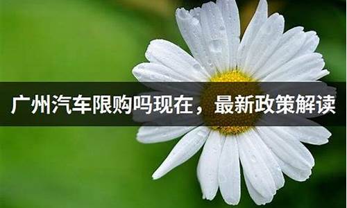 广州汽车限购政策最新2023年8月_广州汽车限购政策最新2023年